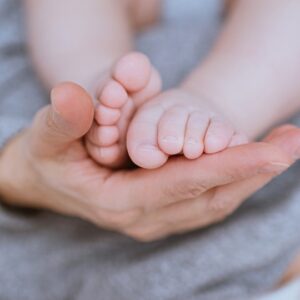 NTDC Domestic Adoption Package